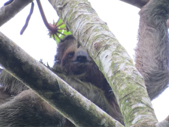 San Jose, Costa Rica